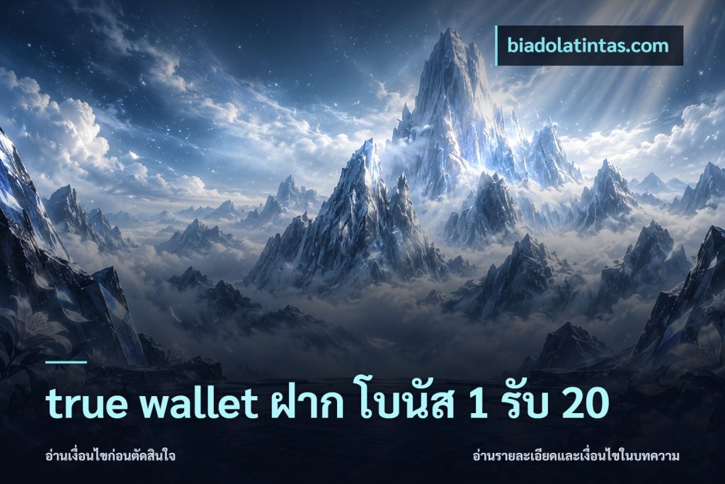 true wallet ฝาก โบนัส 1 รับ 20